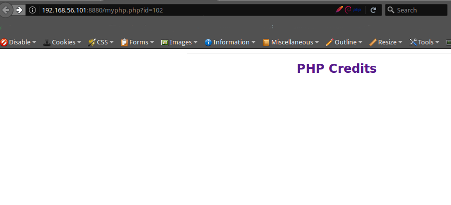 Pagina pubblica di PHP