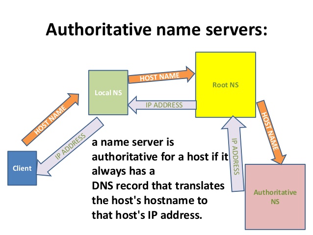 Authority DNS