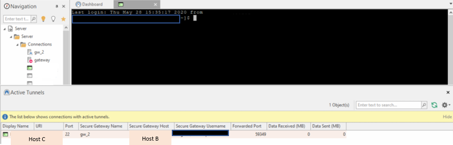 SSH connection opened through the tunnel